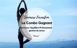 Séminaire Formation : Le combo gagnant : retrouver l'équilibre Professionnel - gestion du stress